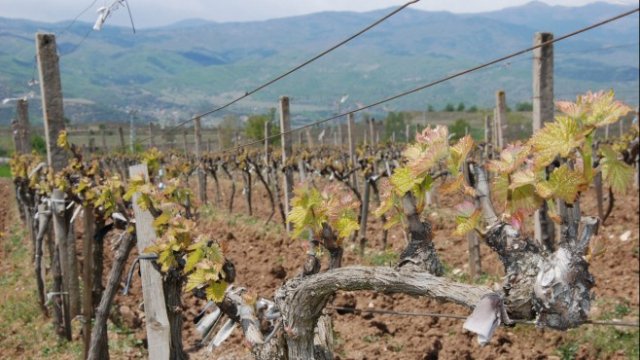 <p>
	<em>Снимка: БТА</em></p>
