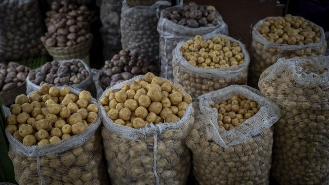 Снимка: Bloomberg LP