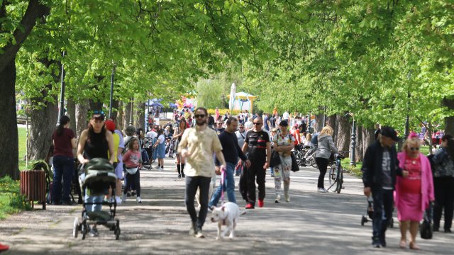 Снимка: Михаела Катеринска, БГНЕС