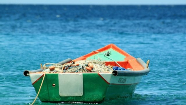 <p>
	<em>Снимка: Pixabay</em></p>
