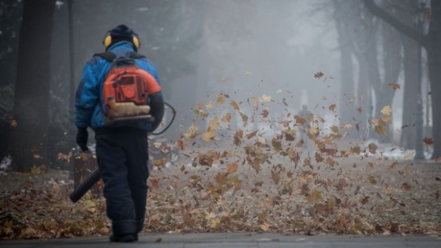 <p>
	<em>Снимка: Димитър Кьосемарлиев, Investor Media Group</em></p>
