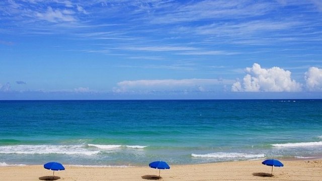 <p>
	<em>Снимка: Pixabay</em></p>
