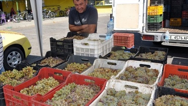 <p>
	<em>Снимка: БТА</em></p>
