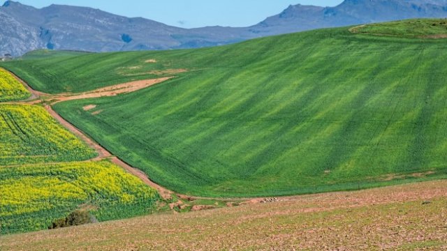 <p>
	<em>Снимка: Pixabay</em></p>
