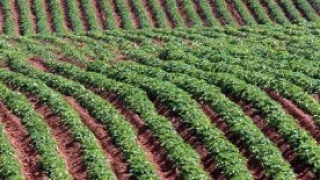 <p>
	<em>Снимка: Архив Ройтерс</em></p>
