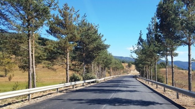 <p>
	<em>Снимка: АПИ</em></p>
