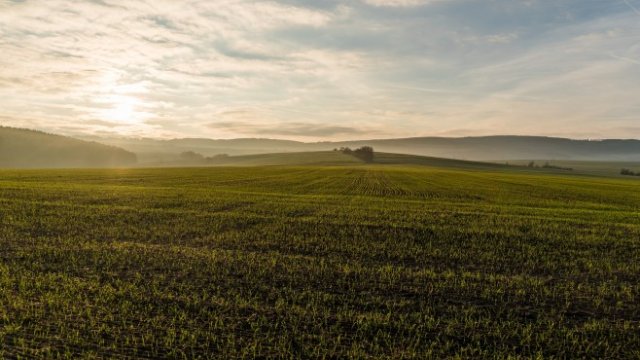 <p>
	<em>Снимка: Pixabay</em></p>
