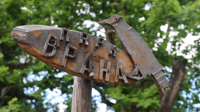 Снимка:  БГНЕС/АНТОН СТАНКОВ