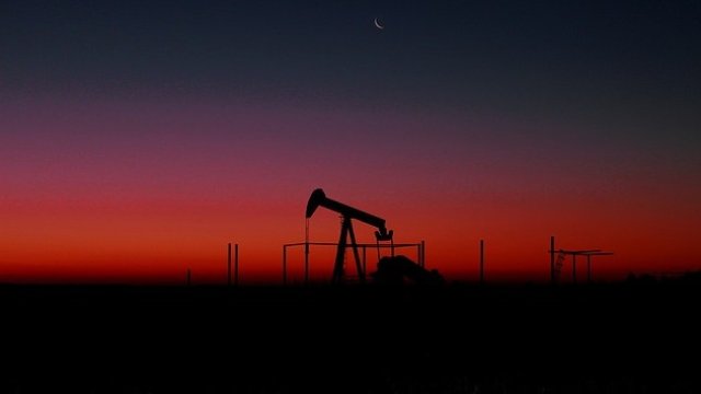 <p>
	<em>Снимка: Pixabay</em></p>
