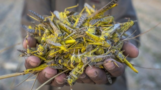 <p>
	<em>Снимка:&nbsp;Asim Hafeez/Bloomberg</em></p>
