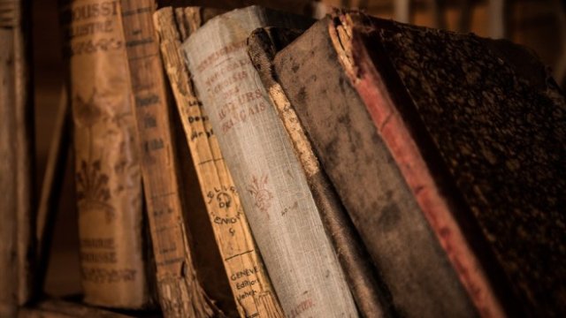 <p>
	<em>Снимка: Pixabay</em></p>
