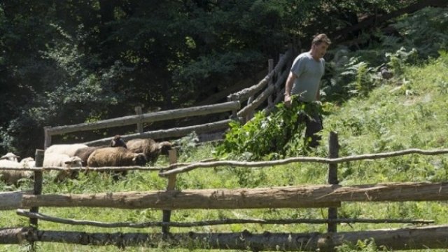 <p>
	<em>Ферма в Тетевен. Снимка: Надежда Бочева</em></p>
