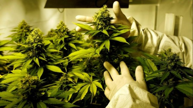 <p>
	<em>Снимка: Архив Ройтерс</em></p>
