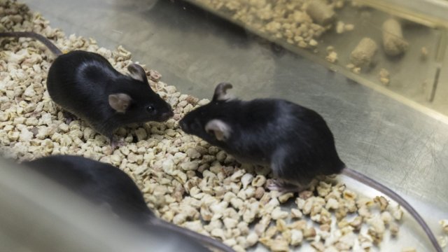 Снимка: Bloomberg