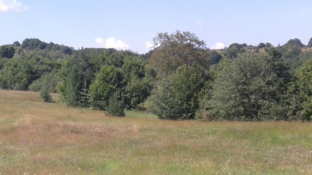 Снимка: Investor.bg