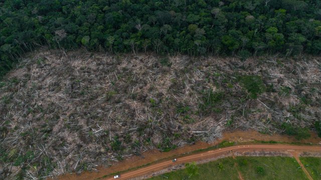 Снимка: Bloomberg L.P.