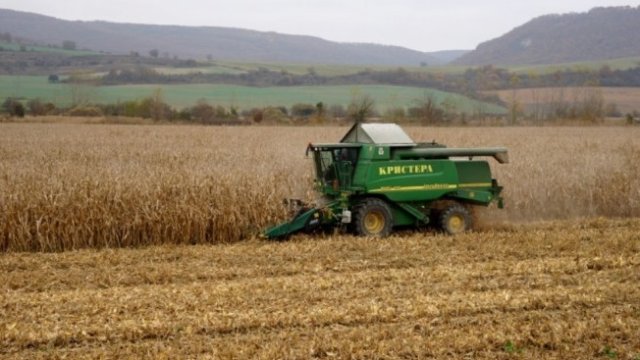 <p>
	Снимка: agriabg.com</p>
