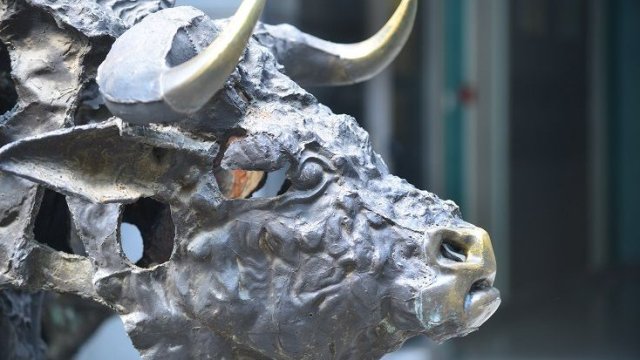 Снимка: БФБ АД