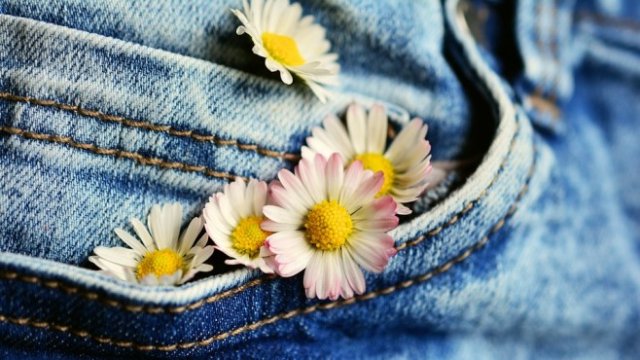 <p>
	<em>Снимка: Pixabay</em></p>
