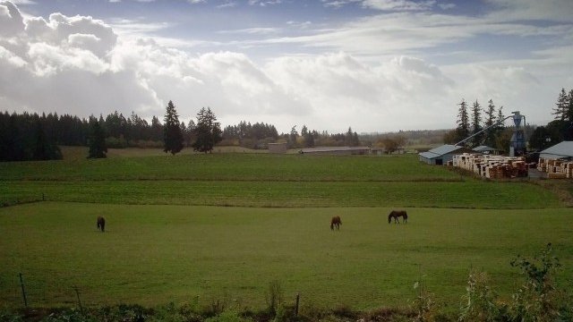 <p>
	Заради високите цени на храните и силния износ на селскостопанска продукция в САЩ цените на фермите се покачват рязко през последното десетилетие.<em> Снимка: gtrwndr87. Лиценз: <a href="http://creativecommons.org/" target="_blank"><strong>Creative Commons</strong></a></em></p>
