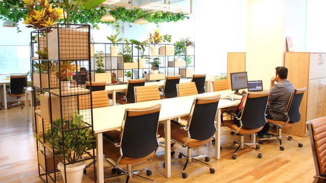 Снимка: Pixabay