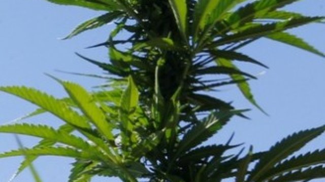 <p>
	<em>Снимка: Ройтерс</em></p>
