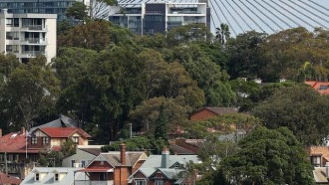 <p>
	<em>Снимка: Brendon Thorne/Bloomberg</em></p>
