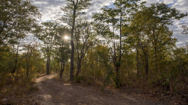 Снимка: Bloomberg