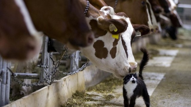 <p>
	<em>Снимка: Архив Ройтерс</em></p>
