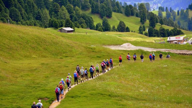 Снимка: Pixabay