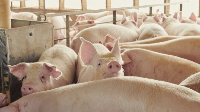 <p>
	<em>Снимка: Bloomberg LP</em></p>
