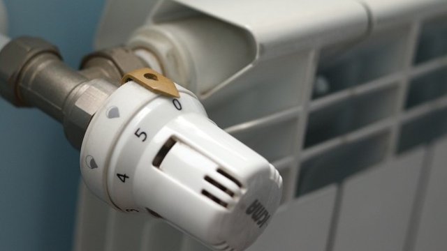 <p>
	<em>Снимка: БГНЕС</em></p>
