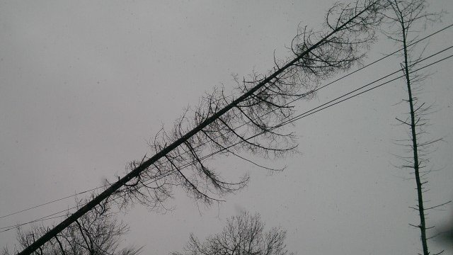 <p>
	<em>Снимка: ЧЕЗ</em></p>
