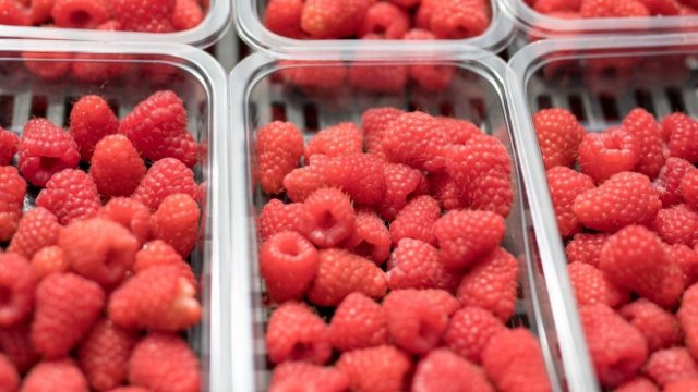 <p>
	<em>Снимка: Bloomberg LP</em></p>
