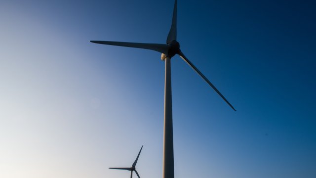 Снимка: Bloomberg L.P.