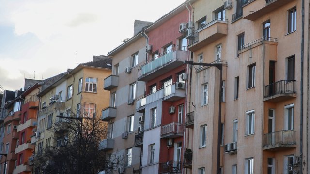 Снимка: Надежда Пеева, БГНЕС