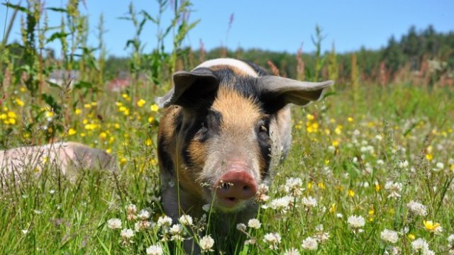 <p>
	<em>Снимка: Архив Ройтерс</em></p>
