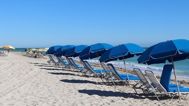 <p>
	<em>Снимка: Pixabay</em></p>
