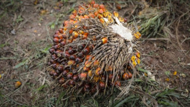 <p>
	<em>Снимка: Bloomberg L.P.</em></p>
