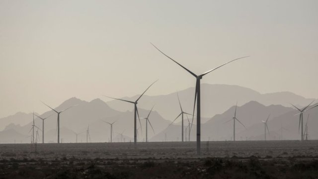 Снимка: Bloomberg LP