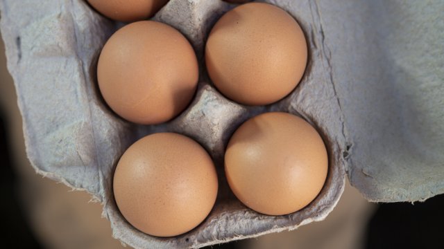 Снимка: Bloomberg LP