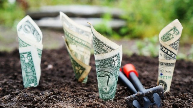 <p>
	<em>Снимка: Pixabay</em></p>
