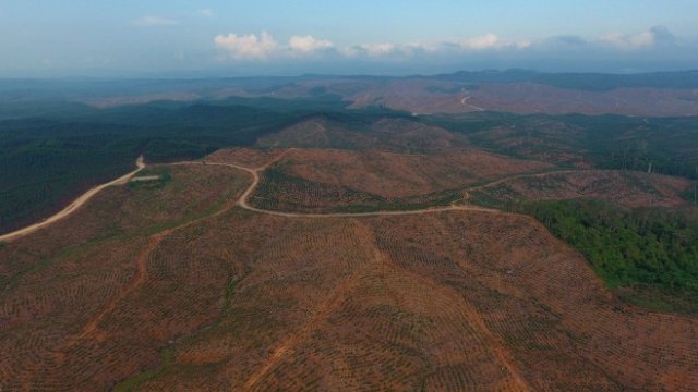 <p>
	<em>Снимка: Bloomberg L.P.</em></p>
