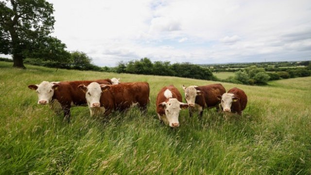 <p>
	Снимка: Chris Ratcliffe/Bloomberg</p>
