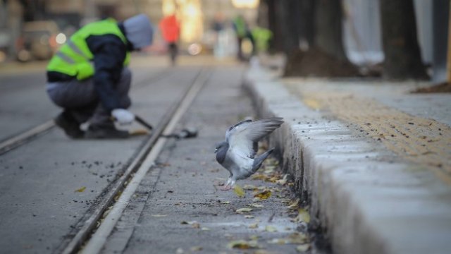 Кадър на деня за 15 ноември