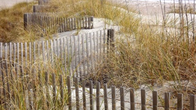 <p>
	<em>Снимка: Pixabay</em></p>
