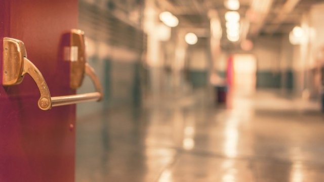 <p>
	<em>Снимка: Pixabay</em></p>
