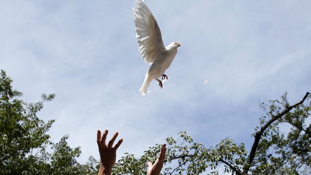 Снимка: Bloomberg