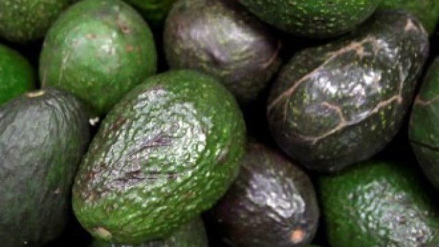 <p>
	<em>Снимка: Ройтерс</em></p>
