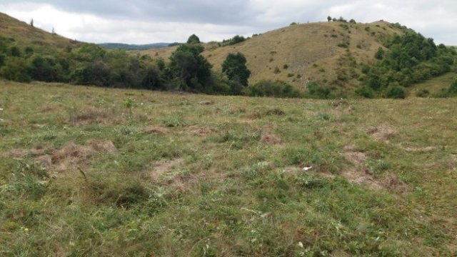 <p>
	Снимка: Investor.bg</p>
